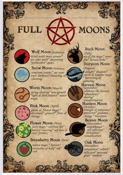 Witch Spell Book Aesthetic, Witch Craft Symbols, Witch Book Aesthetic, Witch Craft Aesthetic, Witchery Aesthetic, Book Of Shadows Aesthetic, Spell Book Aesthetic, Kartu Tarot, Moon Chart