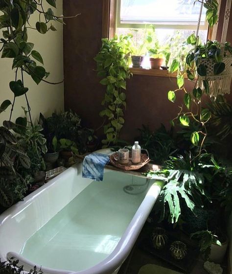 I have a huge jacuzzi tub, and plants like this would be perfect all around it!!! Tanaman Indoor, Farmhouse Side Table, Hus Inspiration, Home Modern, Bath Tub, Design Living Room, House Goals, House Inspo, Indoor Garden