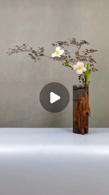 Arreglos Ikebana, Small Flower Arrangements, Nature Environment, Garden Games, Flower Arranging, Deco Floral, Ikebana, Flower Arrangement, Flower Power