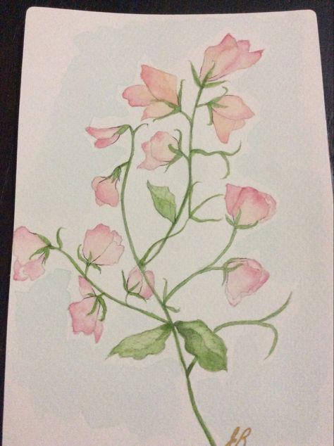 Watercolor Sweet Pea Sweet Pea Painting, Sweet Pea Illustration, Sweet Pea Bouquet, Daughter Tattoo, Sweet Pea Flowers, Art Assignments, Crayon Drawings, Flower Drawings, Mother Daughter Tattoos