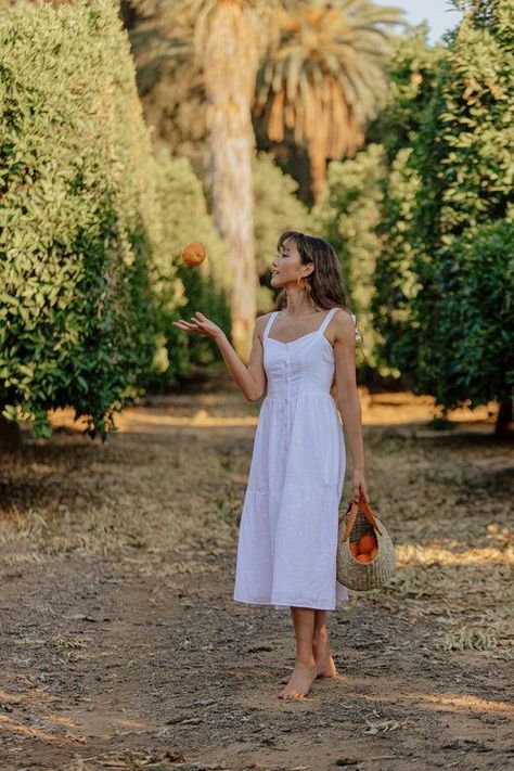 Fun moment in the orange groves. White UO dress. Southern California Lifestyle photoshoot. Orange Grove Photoshoot, Quirky Photography, Lemon Farm, Orange Farm, Orange Groves, Ojai California, Lifestyle Photoshoot, Orange Grove, Farm Photography