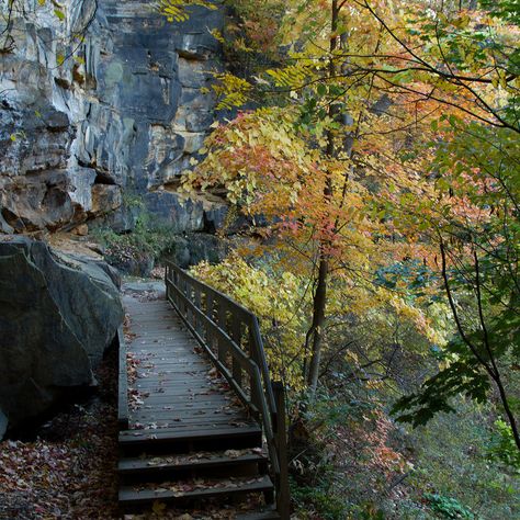 Gorge Metro Park - Summit County Parks | Summit Metro Parks Fishing Dock, Ohio Travel, Summit County, Picnic Tables, River Falls, Ohio Usa, Take A Hike, Park Photos, Local History