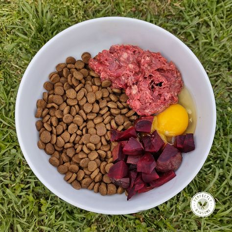 Dog Raw Diet, Raw Feeding For Dogs, Raw Dog Food Diet, Raw Pet Food, Food Dog, Natural Dog Food, Dog Food Bowls, Raw Dog Food Recipes, Raw Diet