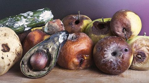 Rotten Food Photography, Bear Moodboard, Decaying Fruit, Rotten Vegetables, Moldy Fruit, Fruit Tattoos, Rotting Fruit, Rotting Food, Decay Photography