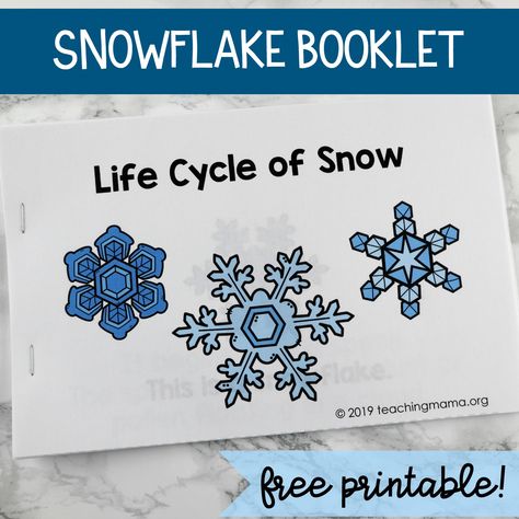 Life Cycle of Snowflakes Booklet Snow Cycle Preschool, Snowflake Inquiry Kindergarten, Winter Bird Activities Preschool, Life Cycle Of A Snowflake Free Printable, Snow Inquiry Kindergarten, Snowflake Theme Preschool, Preschool Snowflake Activities, Snowflake Bentley Activities Free, Snowflake Printables Free