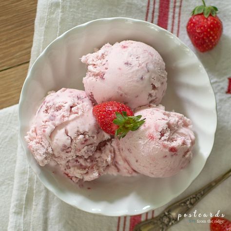 This is a wonderful classic strawberry ice cream recipe. Uses fresh or frozen strawberries. #recipe #icecream #strawberries Weird Ice Cream Flavors, Strawberry Ice Cream Recipe, Homemade Strawberry Ice Cream, Cuisinart Ice Cream, Cuisinart Ice Cream Maker, Strawberry Balsamic, Ice Cream Maker Recipes, Making Homemade Ice Cream, Keto Ice Cream