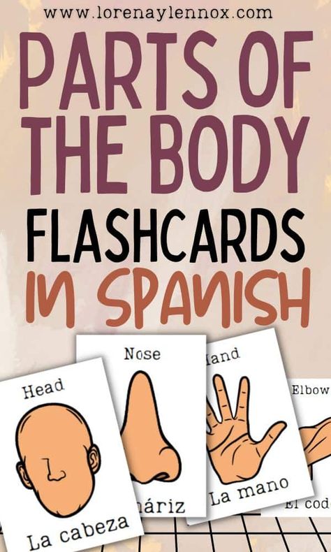 Parts of the body flashcards in Spanish Spanish Flashcards Printable Free, Spanish Body Parts, Body Parts Worksheet, Bilingual Flashcards, Body Parts In Spanish, Spanish Flashcards, Spanish Printables, Preschool Spanish, Lesson Activities