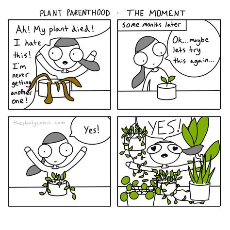 Plant Oc, Plant Humor, Plant Jokes, 4 Panel Life, نباتات منزلية, Casino Royale, Home Flowers, Plant Mom, Plant Lady