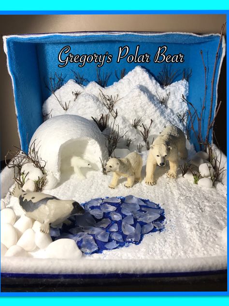 Artic Diaroma Ideas, Polar Ecosystem Project, Polar Bear Habitat Diorama, Polar Bear Habitat Project, Polar Bear Project, Polar Bear Diaroma, Polar Bear Diorama Project, Arctic Ecosystem Project, Polar Region Project