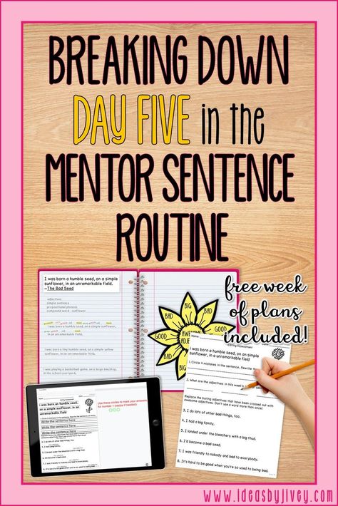 The mentor sentences routine should still include assessment. Jivey shares how to use formative assessments and grade writing application. Get a free week of plans to try out in your own classroom. Writing Mentor Texts, Elementary Literacy Activities, Good Adjectives, Writing Mini Lessons, Mentor Sentences, Writing Anchor Charts, Vocabulary Lessons, Ela Activities, Teaching Grammar