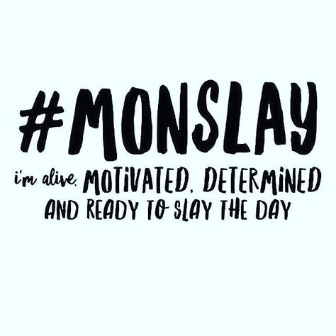 My kinda Monday.  #mondaymotivation #monday #motivation Montag Motivation, Monday Motivation Quotes, Monday Memes, Weekday Quotes, Monday Humor, 9gag Funny, Monday Quotes, Work Quotes, Daily Motivation