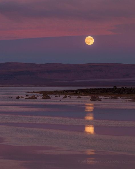 Full Moon, The Sky, The Moon, Moon, Water