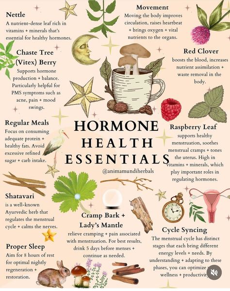 Hormone Harmony, Earth Connection, Luteal Phase, The Endocrine System, Nourishing Meals, Herbal Education, Chaste Tree, Hormonal Health, Anima Mundi