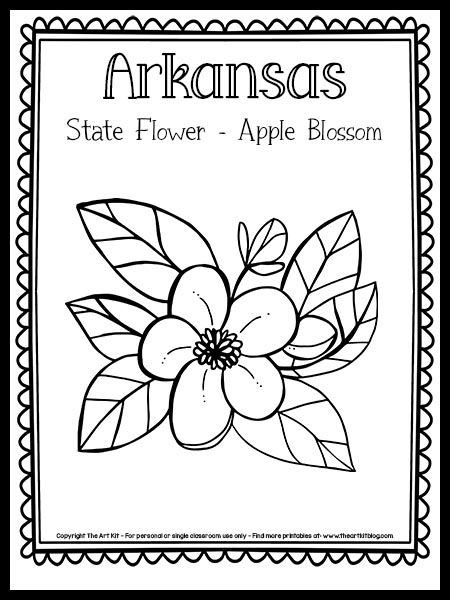 Arkansas State Flower Coloring Page (Apple Blossom!) {FREE Printable!} - The Art Kit Michigan Apple Blossom, Michigan Preschool Activities, Michigan Coloring Pages, Michigan Nails, Michigan State Flower, Georgia State Flower, Georgia Tattoo, Michigan Facts, State Project