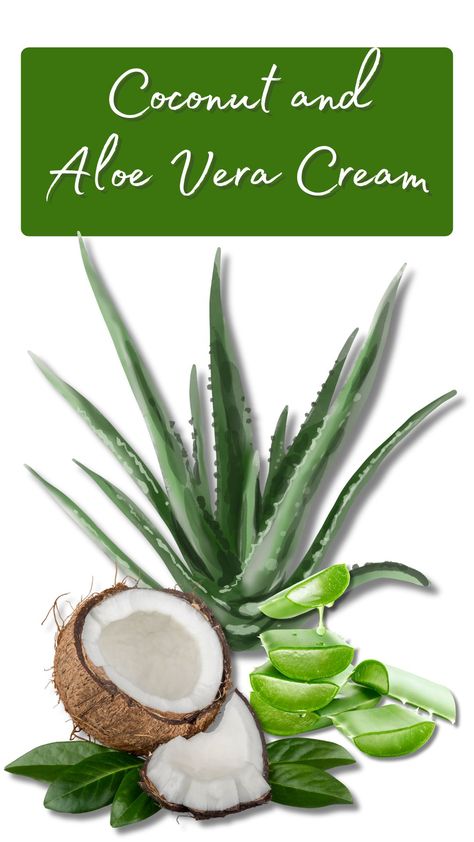 Aloe Vera Cream Recipe, 3 Luxurious Make At Home Creams. Aloe Vera Mask, Aloe Cream, Aloe Vera Cream, Aloe Vera Moisturizer, Fresh Aloe Vera Gel, Aloe Vera For Skin, Aloe Vera Face Mask, Natural Aloe Vera, Aloe Gel