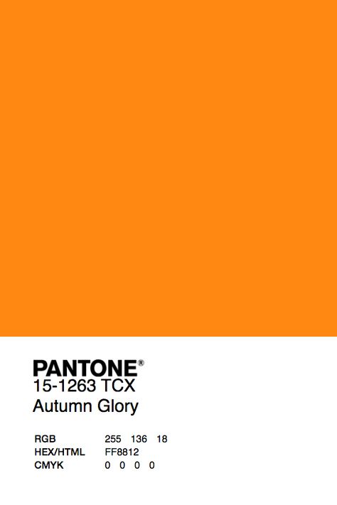 Pantone Orange, Pantone Colour Palettes, Color Design Inspiration, Colour Palettes, Vibrant Orange, Color Box, Colour Schemes, Color Pallets, Color Swatches