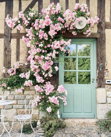 THEBEST_windowsdoors (@thebest_windowsdoors) • Instagram photos and videos French Provincial Garden, Appartment Decor, Climbing Flowers, Door Inspiration, Cafe House, Front Landscaping, Pink Garden, Little Cottage, Climbing Roses