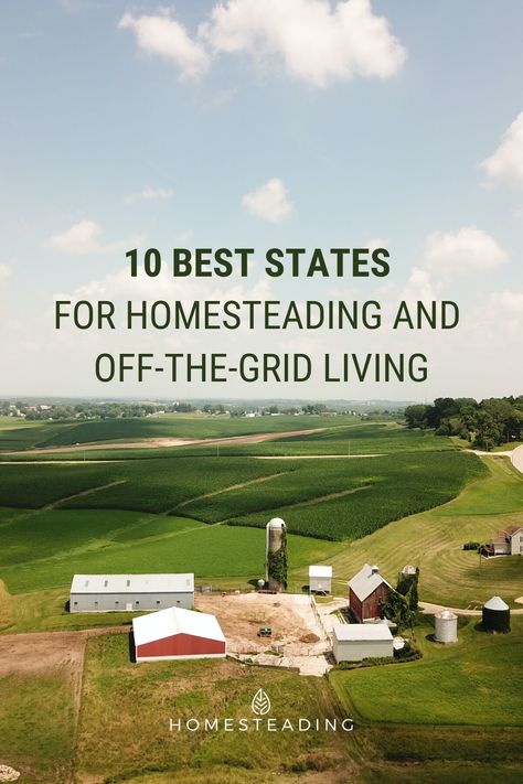 Planning to move to a new state to pursue your homesteading dreams after this pandemic? Homesteading can be done in any state if you really want to do it. But each state has its advantages and disadvantages, which is why it’s essential to know the homesteading conditions before moving and starting this challenging but fun process! Read our guide today to help you make the best decision! Live Off Grid, Living Off Grid, Homesteading Tips, Types Of Farming, Homesteading Ideas, Going Off The Grid, Farm Plans, Build A Greenhouse, Advantages And Disadvantages