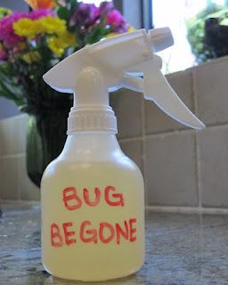 delicious wife: bug be gone: homemade all-natural and non-toxic bug spray! Bug Spray, Bug Repellent, Bug Bites, Cleaning Spray, Cleaners Homemade, Homemade Remedies, Witch Hazel, Back To Nature, Diy Cleaning Products