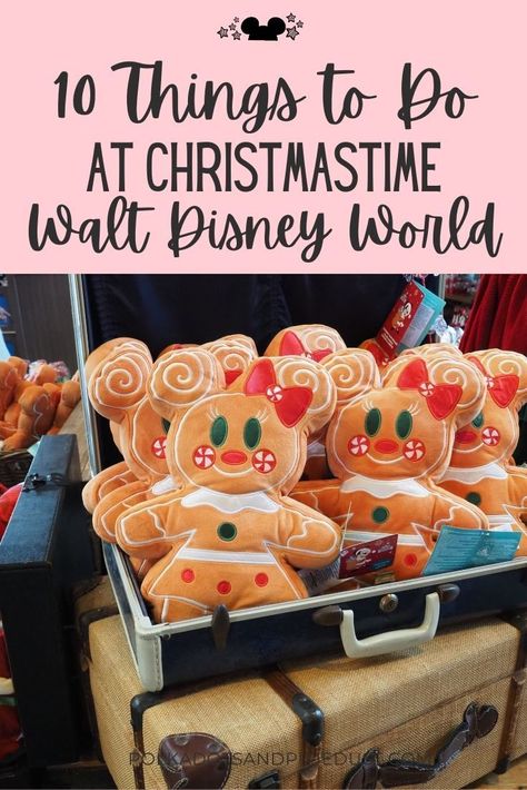 Disney World Christmas 2023, Disney World Christmas Food, Disney At Christmas Tips, Disney World During Christmas, Disney Christmas Food, Thanksgiving At Disney World, Disney Christmas Pictures Ideas, Disney During Christmas, Disney World Outfits Christmas