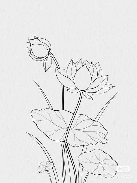 Lotus Flower Outline Drawing, Chinese Art Sketch, Procreate Floral Drawing, Flower Women Drawing, Lotus Flower Drawing Sketches, Frangipani Flower Drawing, How To Draw Lotus Flower, Pichwai Paintings Outline, Lotus Flower Drawing Design