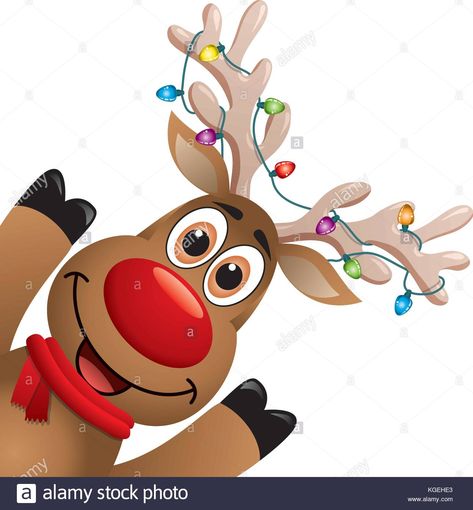 Download this stock vector: vector xmas drawing of funny red nosed reindeer. christmas card illustration. cartoon rudolph deer with red scarf and christmas lights on big horns, b - KGEHE3 from Alamy's library of millions of high resolution stock photos, illustrations and vectors. Rudolph Cartoon, Reindeer Drawing, Reindeer Christmas Card, Xmas Drawing, Christmas Card Illustration, Screen Painting, Illustration Cartoon, Card Drawing, Funny Xmas