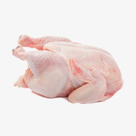 Frozen Whole Chicken, Chicken In Oven, Chickens For Sale, Chicken Quarters, Broiler Chicken, Chicken Gizzards, Chicken Pictures, Cheesy Chicken Broccoli, Artichoke Chicken