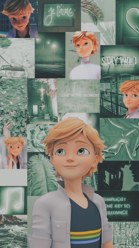 Adrien Wallpaper Aesthetic, Adrian Agreste Wallpaper, Miraculous Costume, Ladybug Quotes, Marinette Et Adrien, Profile Wallpaper, Ladybug Art, Birthday Gifts For Boyfriend Diy, Miraculous Wallpaper