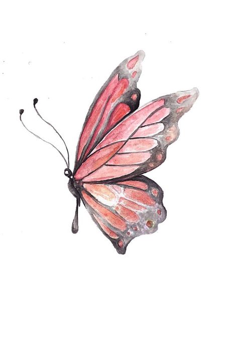 Pink Butterfly butterfly watercolor painting Painting Clipart, Butterfly Watercolor Painting, Butterfly On A Flower, Watercolor Painting Easy, Butterflies Clipart, Butterfly Butterfly, Urban Graffiti, Painting Easy, Butterfly Clip Art