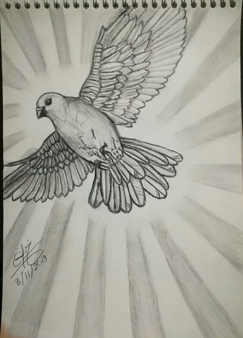 Doves Flying Drawing, Morning Dove Drawing, Heaven Drawing, Dove Sketches, Peace Drawing, Dove Drawing, Dove Flying, Fly Drawing, Bible Quotes Background