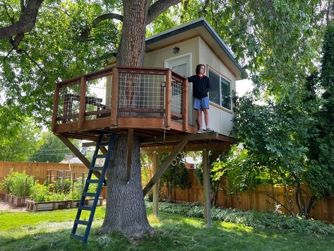 Treehouse Plans | Custom Tree House Design by expert tree house builders – Treehouse Supplies Treehouse Plans, Custom Treehouse, Treehouse Construction, Secret Base, Building A Treehouse, Tree House Plans, Tree House Diy, Plywood Siding, Tree Plan