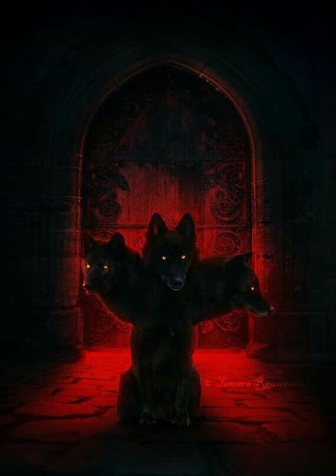 Cerberus Wallpaper, Stray Souls, Wolf God, Fantasy Fiction Books, Persephone Goddess, Creepy Animals, Shadow Wolf, Greek Mythology Gods, Greek Myth