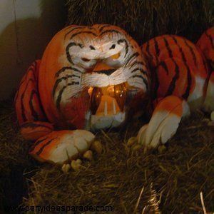 Tiger pumpkin Tiger Pumpkin Decorating, Tiger Pumpkin Painting, Pumpkin Decorating Animals, Animal Themed Pumpkins, Tiger Pumpkin, Animal Pumpkin Decorating, Pumpkin Decorating Diy, Pumpkin Inspiration, Giant Pumpkin