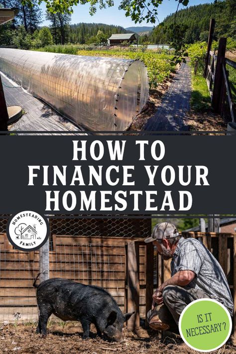 Creating A Homestead, Homestead Products To Sell, Livestock Hacks, Homestead Community, Land Layout, Homestead Books, Start Homesteading, Homestead Land, Homesteading Family