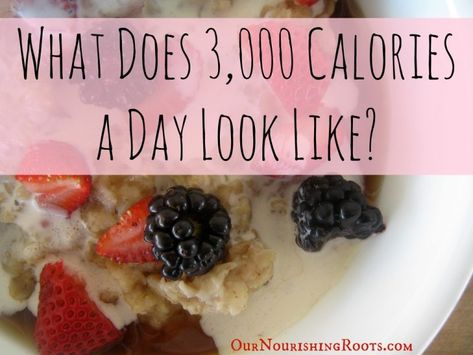 What Does 3,000 Calories a Day Look Like? High Calorie Meal Plan, 3000 Calorie Meal Plan, High Calorie Snacks, Food To Gain Muscle, Become Healthier, Weight Gain Diet, Calorie Meal Plan, Healthy Weight Gain, High Calorie Meals