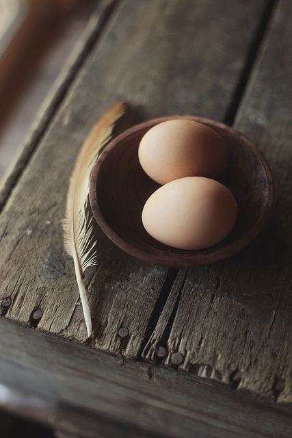 eggs Brown Eggs, 강아지 그림, Still Life Photos, Down On The Farm, Fresh Eggs, Lunch Snacks, Foto Inspiration, Malbec, Beautiful Food