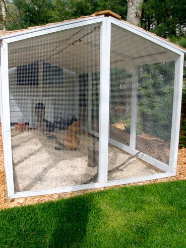 Predator proof your coop using hardware cloth. Avoid chicken wire, too: It's meant to keep chickens in, but will not hold up to predator attacks. Reban Ayam, Cedar Shingle Roof, Chicken Tractor, Coop Design, Chicken Run, Chicken Coop Designs, Hardware Cloth, Chicken Garden, Coop Plans