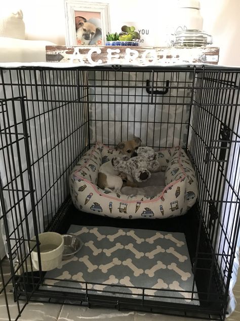 Dog crate ideas- She loves her new corner!!!😍 Cages For Dogs, Dog Crate Apartment Ideas, Pet Cage Ideas Dogs, How To Make A Dog Cage Cute, Cute Dog Cage Ideas, Dog Set Up In Bedroom, Puppy Corner Ideas In Bedroom, Crate Ideas For Dogs, Puppy Cage Ideas