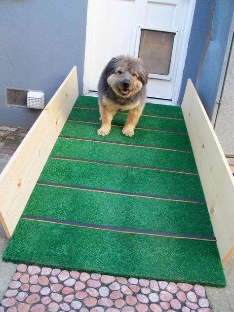 Diy Ramp For Dogs Outdoor, Dog Ramp For Stairs, Diy Dog Ramp, Dog Ramp Diy, Dog Pool Ramp, Outdoor Ramp, Dog Ramp For Bed, Doggy Door, Puppy Ideas