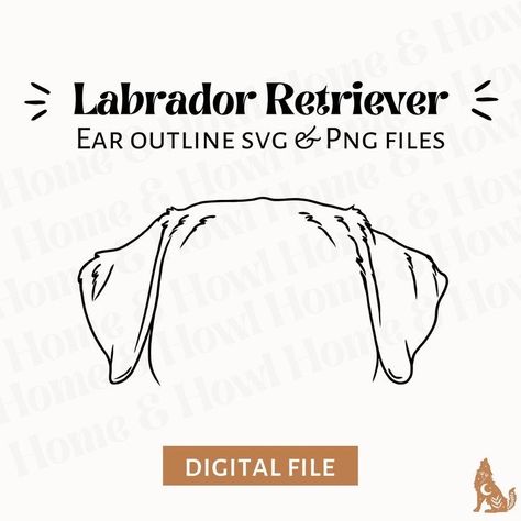 Lab Ear Outline Tattoo, Labrador Ears Outline Tattoo, Labrador Ears Tattoo, Dog Tattoo Labrador, Labrador Tattoo Ideas, Labrador Retriever Tattoo, Labrador Tattoo, Lab Tattoo, Dog Ear Tattoo