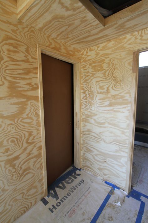 How to plywood interior Stained Plywood Walls, Osb Walls, Plywood Wall Paneling, Pallet Deck Diy, Trailer Design, Plywood Design, Plywood Interior, Plywood Walls, Rules Of Engagement