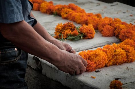 Dia De Los Muertos Display Ideas, Traditional Mexican Ofrenda, Ofrenda Ideas Diy Small House, Mexican Ofrenda Ideas, Offrenda Table Diy, Modern Ofrenda, Offrenda Table Ideas Decor, Dog Ofrenda, How To Make An Ofrenda