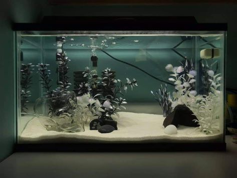 Black and White tank Black Fish Tank Decor, Dark Fish Tank Ideas, All White Fish Tank, Black Fish Tank Ideas, Black And White Aquarium, White Betta Fish Tank, White Sand Fish Tank, Gothic Fish Tank, Goth Fish Tank