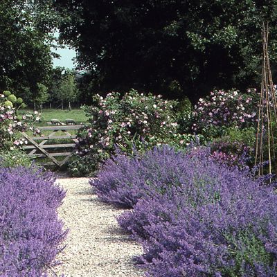 Garden Lover’s Ground Cover: Pea Gravel  			  					  						The beauty of this inexpensive ground cover is that it complements whatever style of garden you have. Pea Gravel Garden, Pea Gravel Patio, Gravel Patio, Gravel Path, Lavender Garden, Pea Gravel, Gravel Garden, Whimsical Garden, Garden Pests