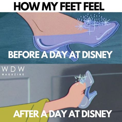 Disney World Memes, Disney World Meme, Cami Outfits, Funny Disney Memes, Funny Disney Jokes, Funny Disney, Disney Collage, Disney Jokes, Disney World Tips And Tricks