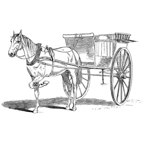 Vintage Horse And Carriage Line Art | Free SVG Carriage Horse, Garage Logo, Horse Svg, Carriage Driving, Adobe Illustrator Tutorials, Lost Images, Horse Drawing, Horse Carriage, Photoshop Backgrounds