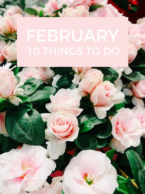 What To Do In February, Things To Do In February Ideas, February Things To Do, February To Do List, February Bucket List, Things To Do In February, February Goals, February Ideas, Credit Card Points