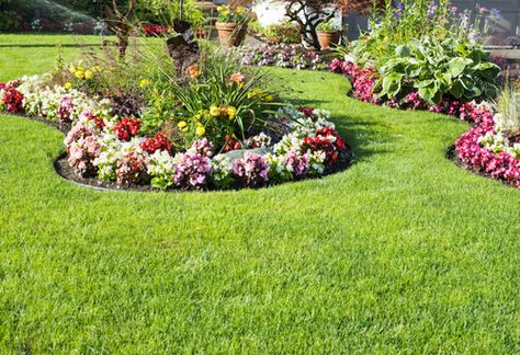 Perennial Garden Design, Flower Garden Images, Tree Mulch, Small Flower Gardens, Flower Garden Ideas, Garden Pavers, Landscaping Around Trees, Garden Flowers Perennials, Small Yard Landscaping