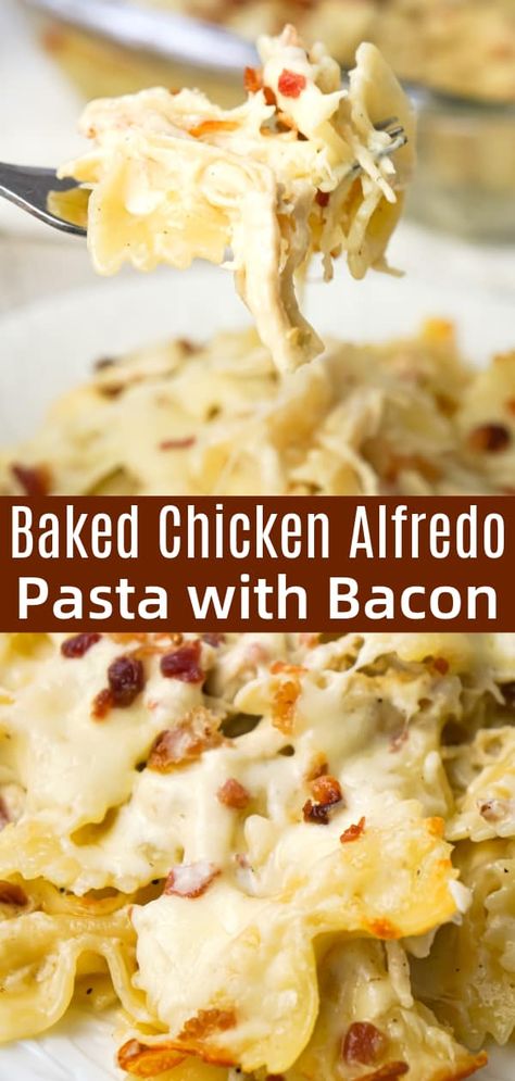 Baked Chicken Alfredo Pasta with Bacon is a delicious dinner recipe loaded with bow tie pasta, shredded chicken and crumbled bacon all in a creamy garlic Parmesan sauce and baked with mozzarella on top. Bow Tie Pasta Recipes Chicken, Bow Pasta Recipes, Alfredo Pasta With Bacon, Bow Tie Pasta Recipes, Baked Chicken Alfredo, Fettucini Alfredo Recipe, Bow Tie Pasta Recipe, Bacon Pasta Recipes, Chicken Bacon Alfredo