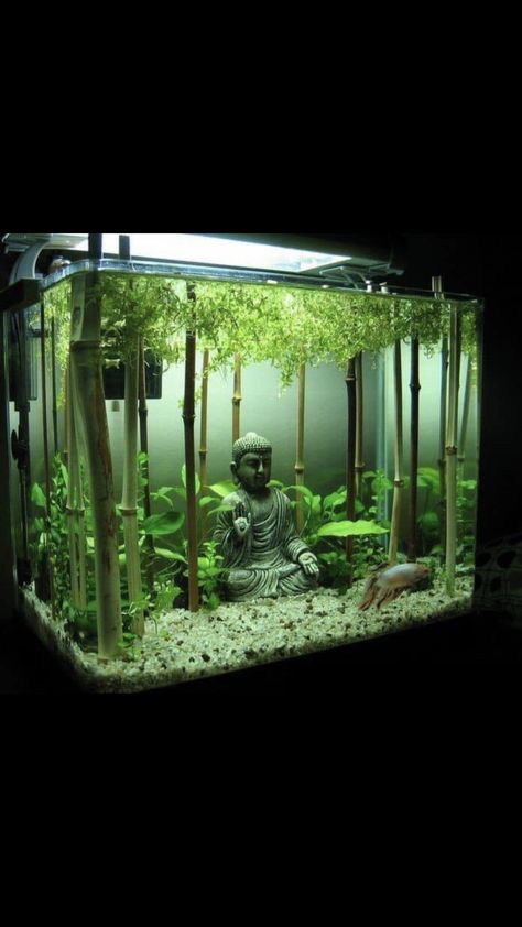 Asian Inspired Fish Tank, Japanese Fish Tank Ideas, Jungle Fish Tank, 5 Gal Fish Tank Ideas, Aquarium Tank Design, Fresh Water Fish Tank Set Up, Fresh Water Fish Tank Ideas, Ideas Para Peceras, Fish Tank Set Up Ideas